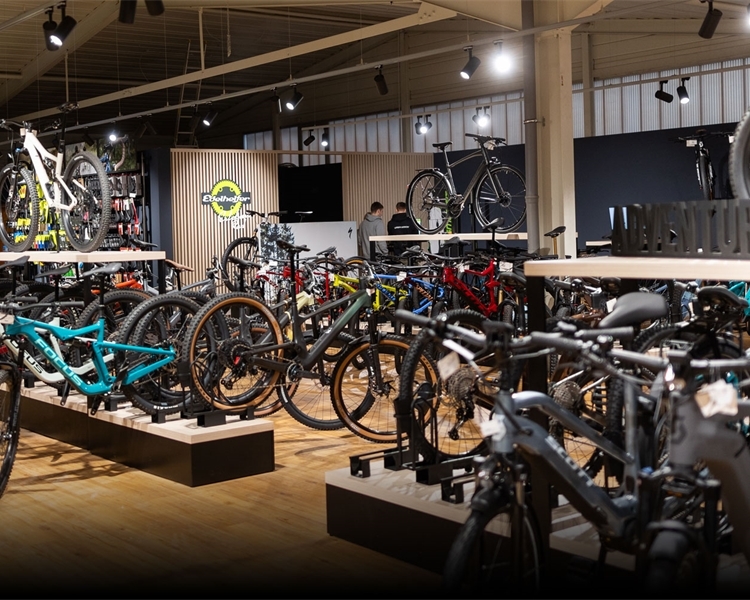 Große Auswahl an Top-Bikemarken