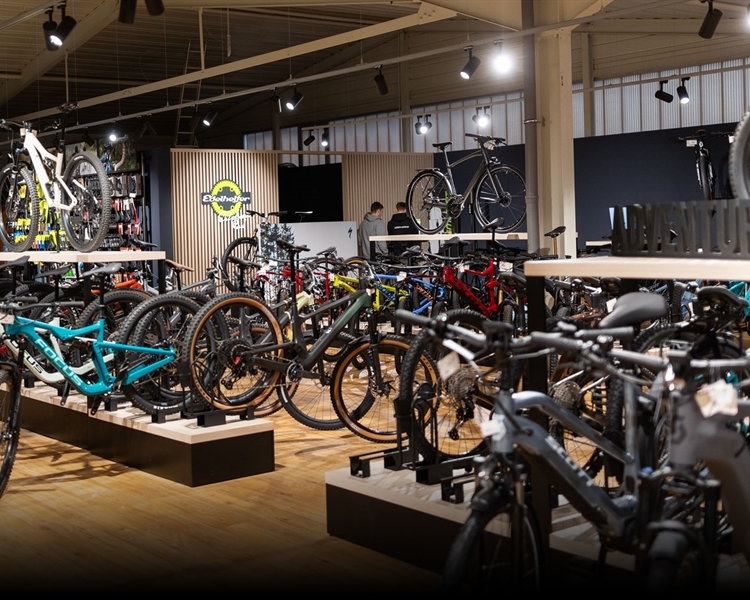 Große Auswahl an Top-Bikemarken