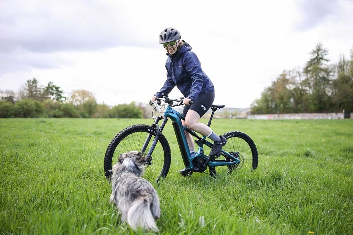 jobs-edelhelfer-mitarbeiterkonditionen jobs-edelhelfer-mitarbeiterkonditionen